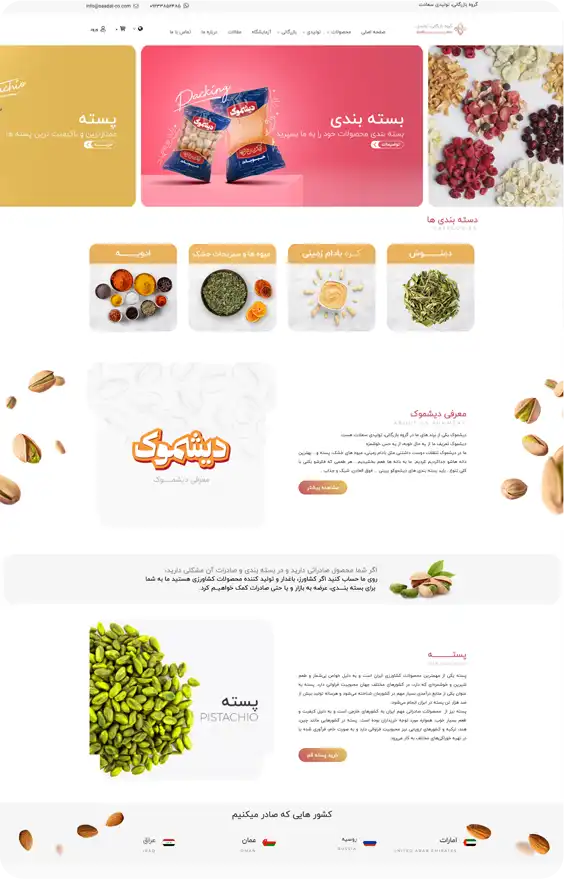 نمونه وبسایت طراحی شده